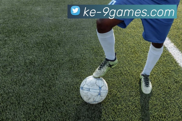 九游官网APP 封面图